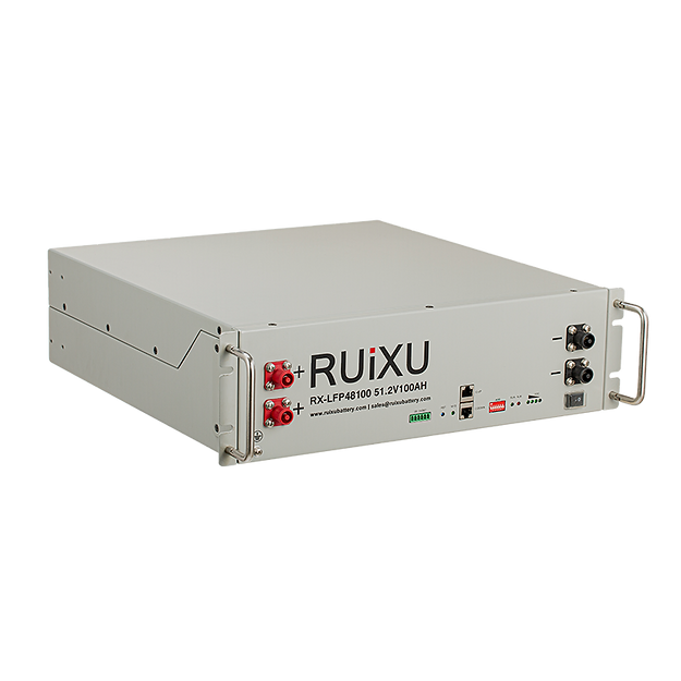 Ruixu RX-LFP48100 | 19