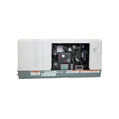 RVMP 4000i Dual Fuel Generator RVMP-AM-4L1-RV401